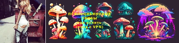 героин Алексин
