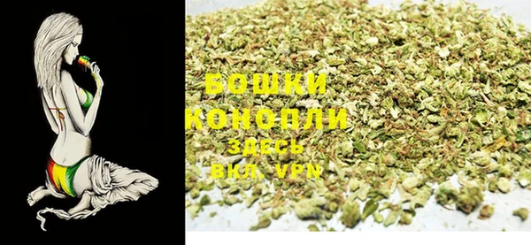 PSILOCYBIN Алексеевка