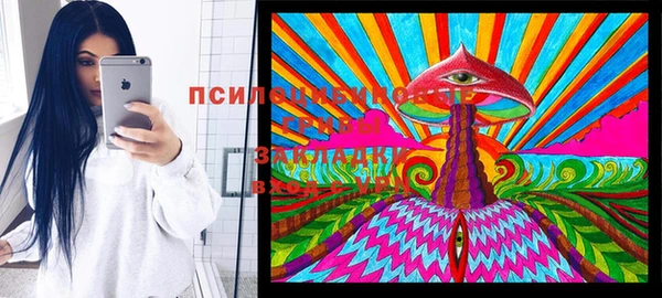 PSILOCYBIN Алексеевка