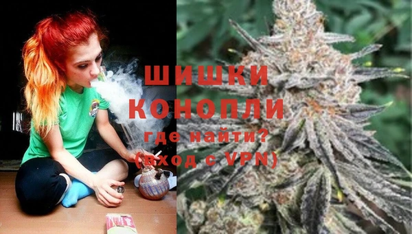 PSILOCYBIN Алексеевка