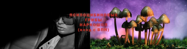 PSILOCYBIN Алексеевка